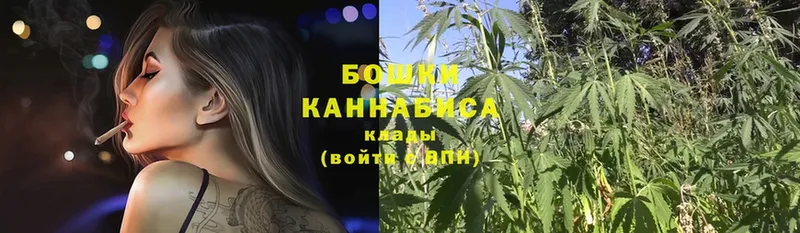 Каннабис White Widow  магазин продажи наркотиков  Камышин 